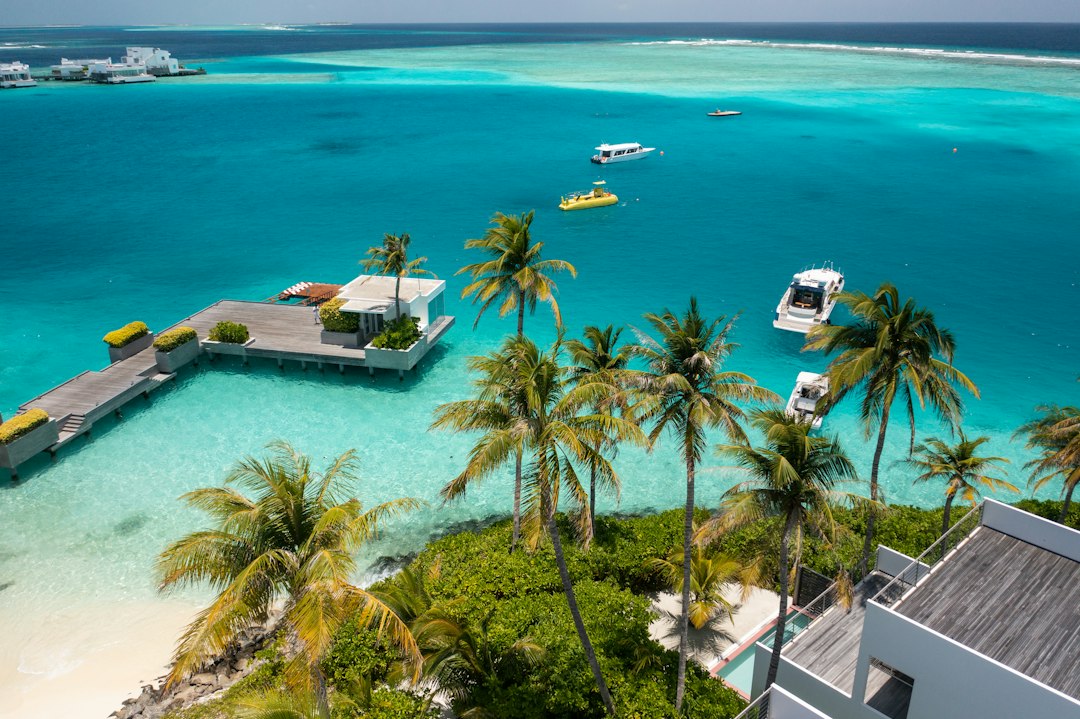 Visit the Marine Discovery Centre at Four Seasons Landaa Giraavaru