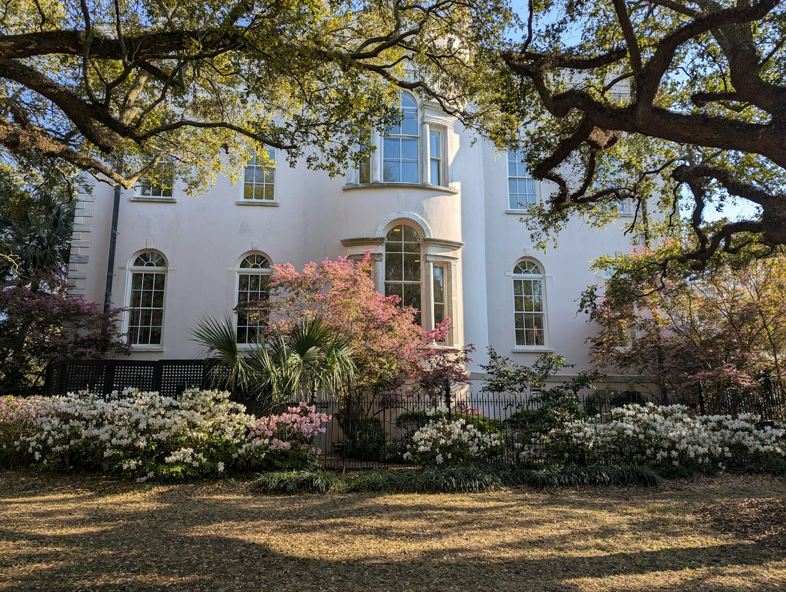 A Slow Sunday Farewell at the House Museum