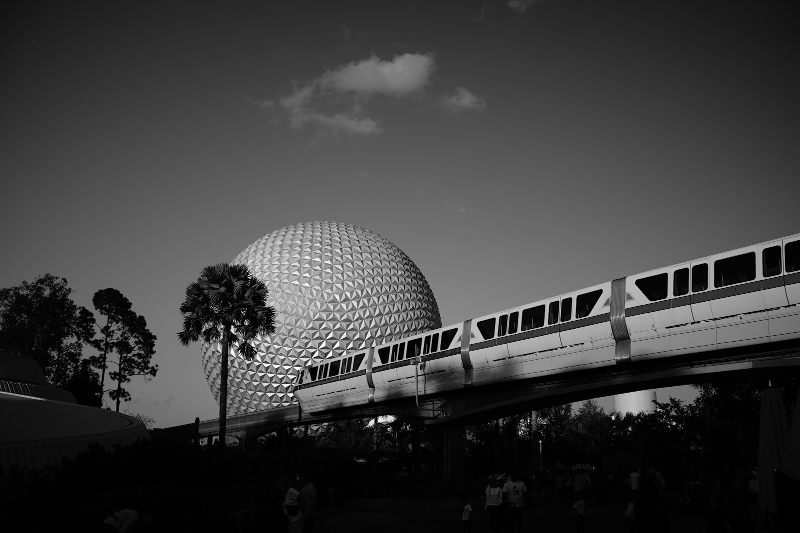 Monorail train traveling past a Walt Disney World resort hotel surrounded by palm trees