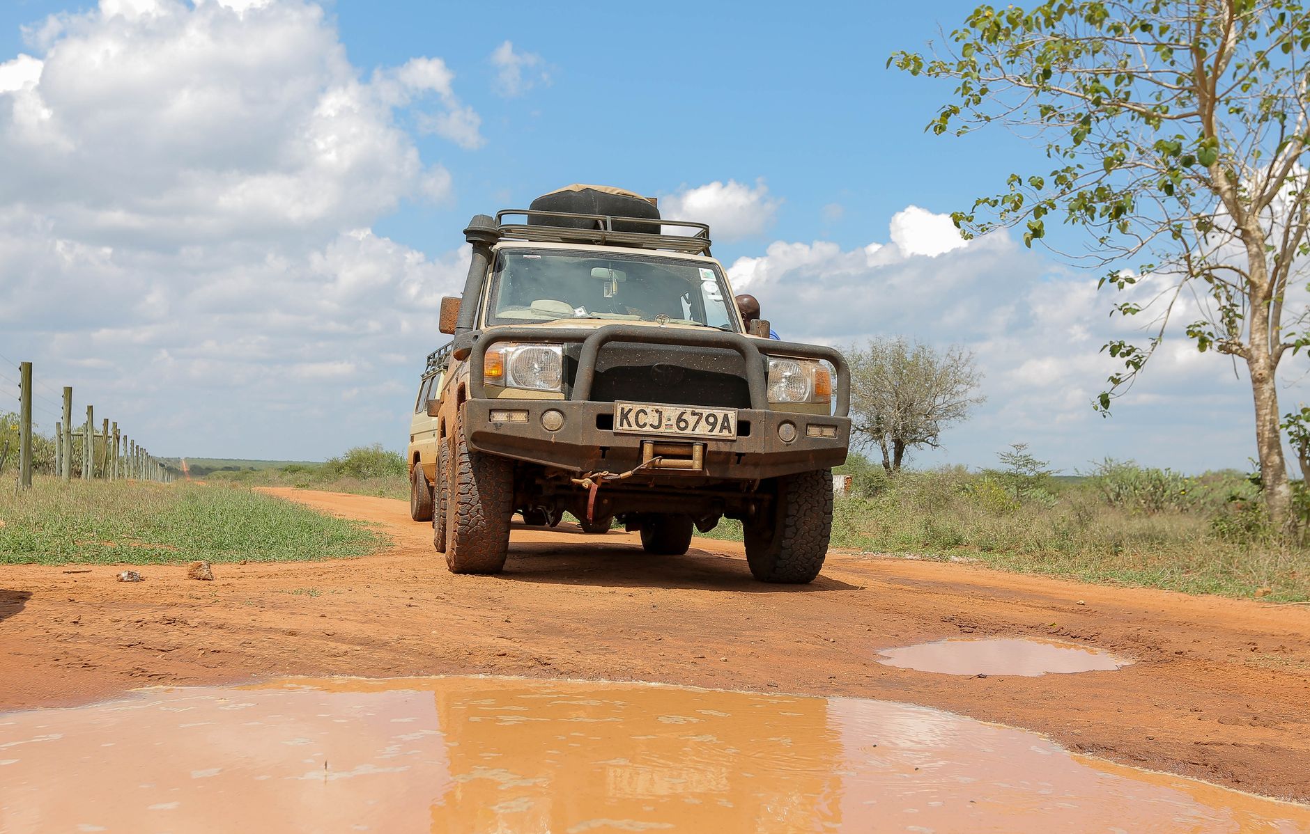 A Slower Morning Game Drive, Then Departures