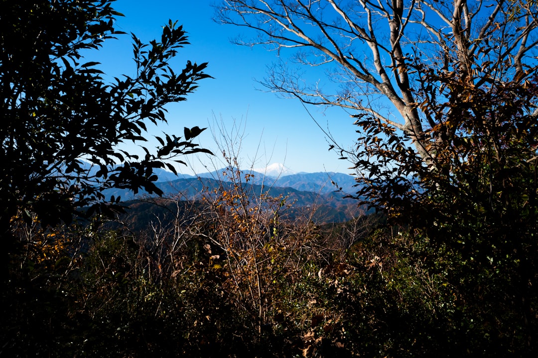 Climb Mount Takao for Peak Fall Foliage