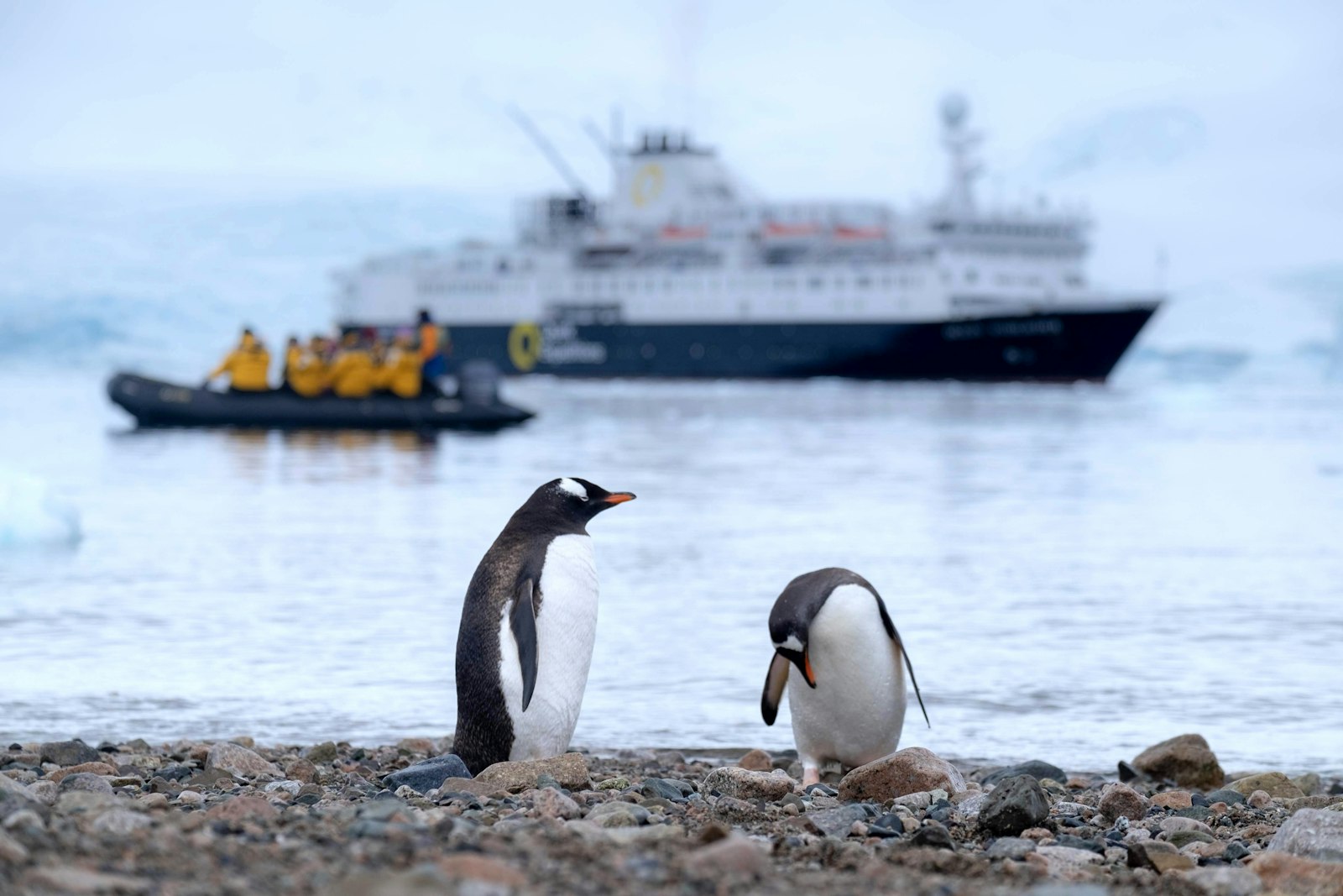 National Geographic Resolution / Endurance (Lindblad Expeditions)