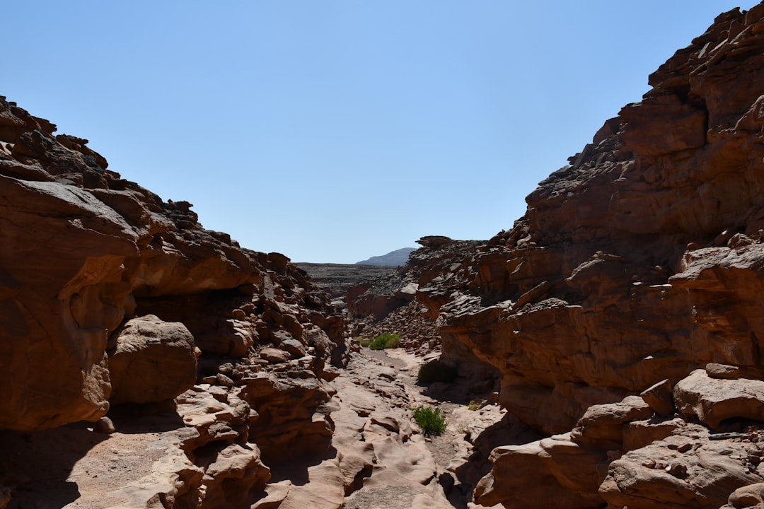 Canyonlands' Needles District and Arches Finale