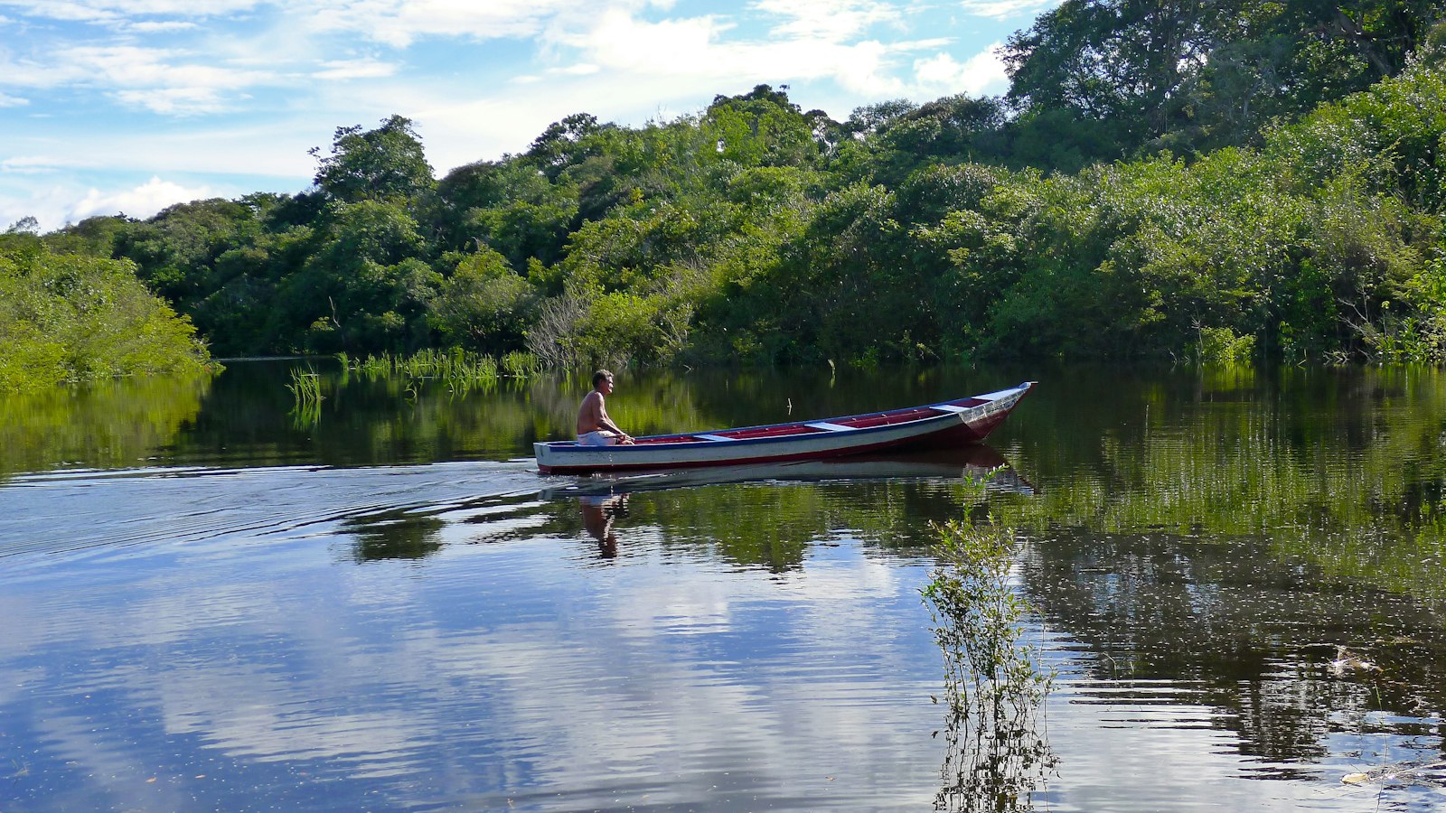 Open skiffs carry small groups into the flooded igapó forest during high-water months.