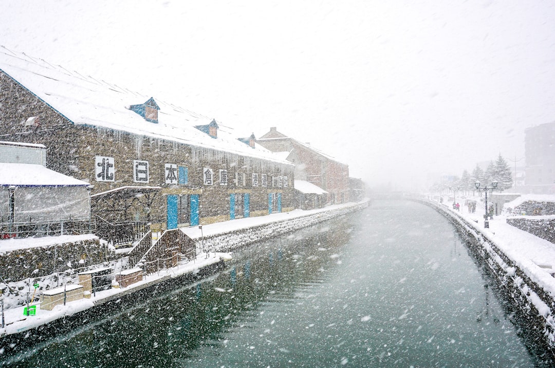Otaru's Canal Under Snow Lanterns