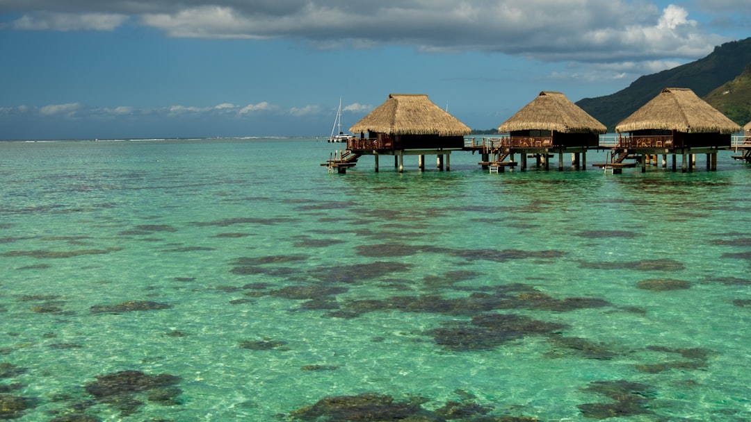 Overwater spa fares with glass floor panels let guests watch reef life during treatments.