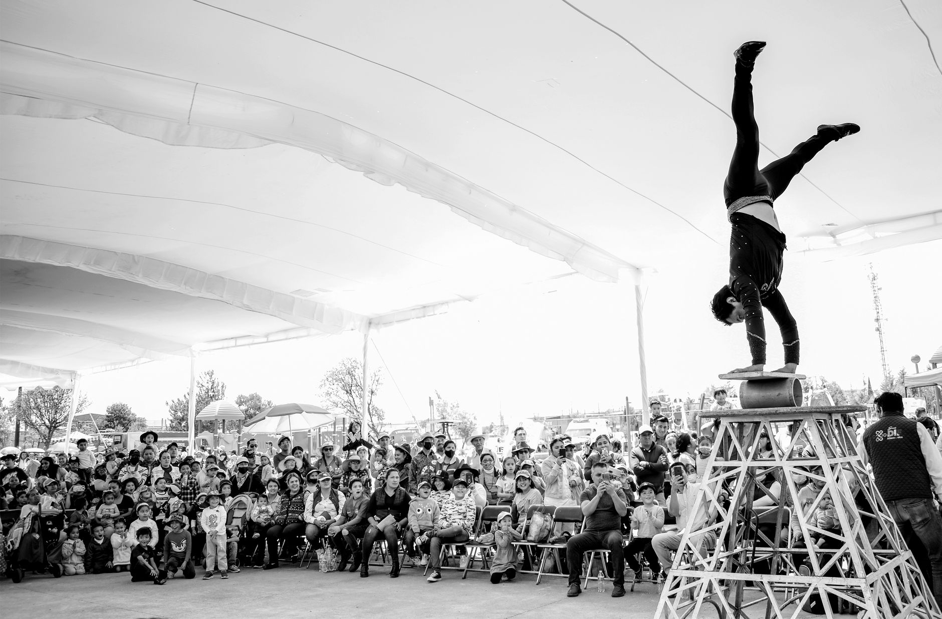 Phare, The Cambodian Circus