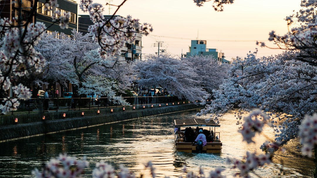 The Shinkansen South, and a City Where the Blossoms Hadn't Peaked Yet