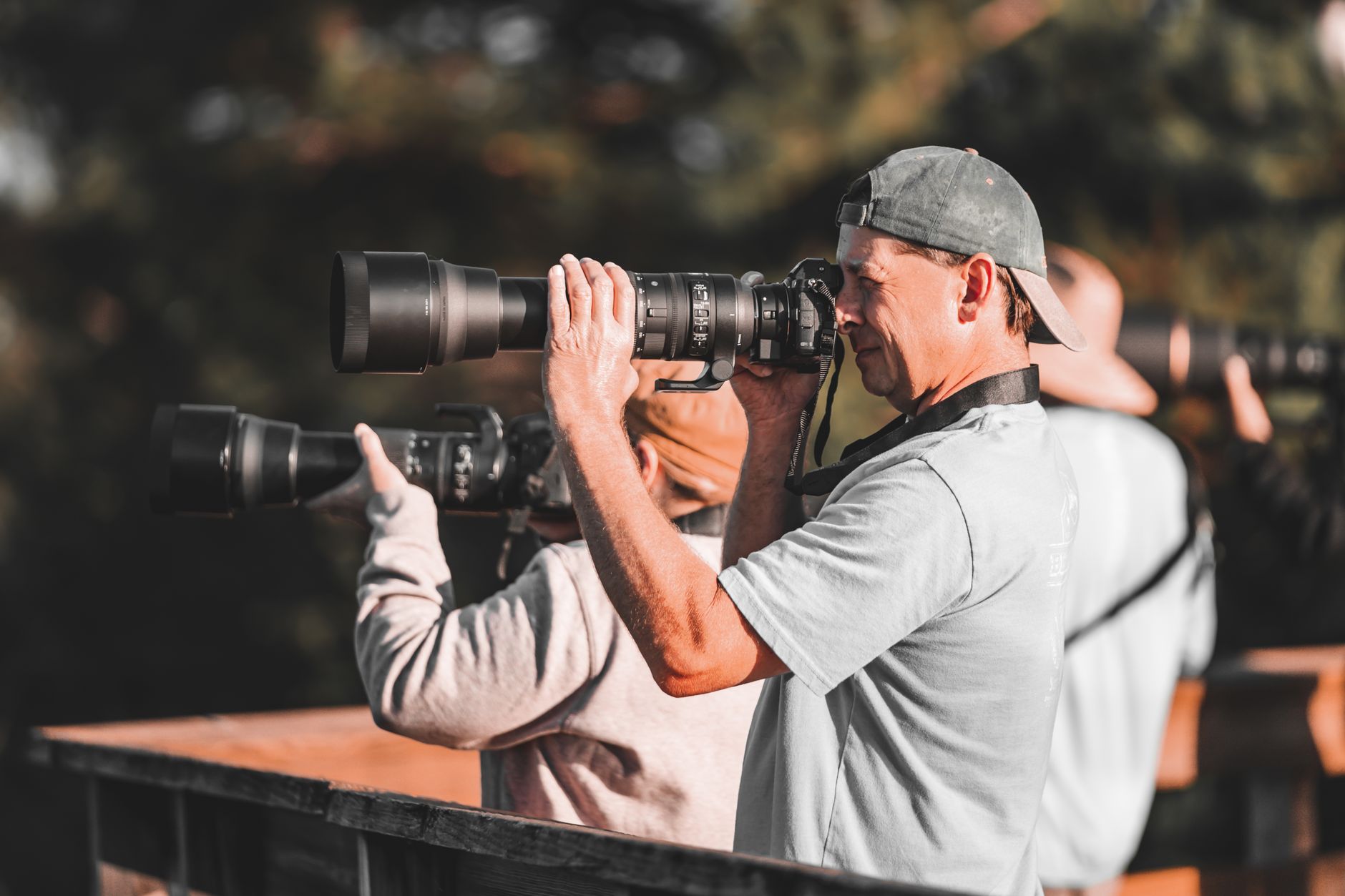Photography-focused Zodiac tenders move slower and hang back longer near wildlife than a standard cruise.