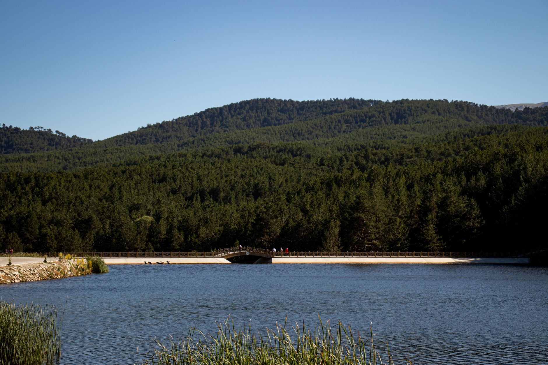Sarria to Portomarín — Chestnut Woods and a Church Moved Stone by Stone