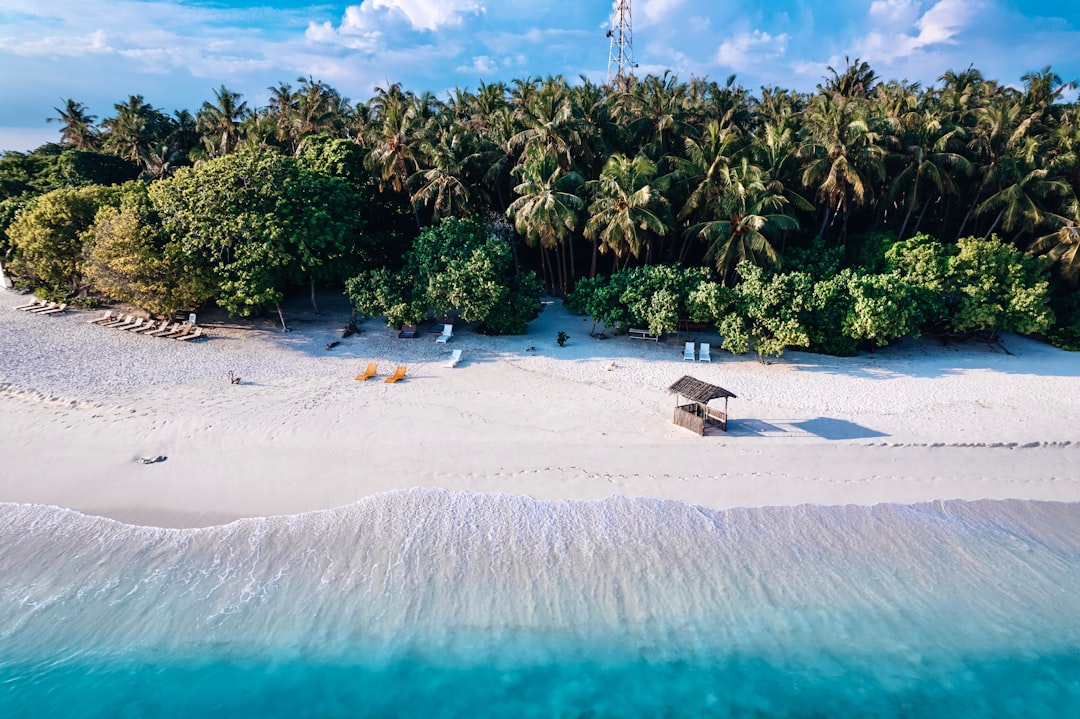 A Private Sandbank Picnic, Away From the Resort Deck