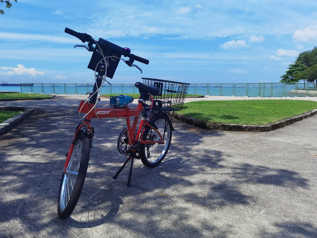 Pulau Ubin by Bicycle, and a Look Across the Causeway