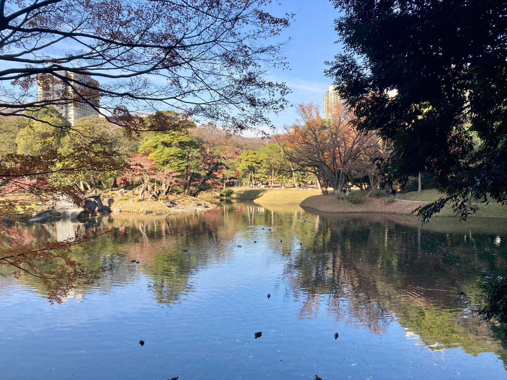 Eastern Tokyo, Asakusa, and the Maples of Rikugien