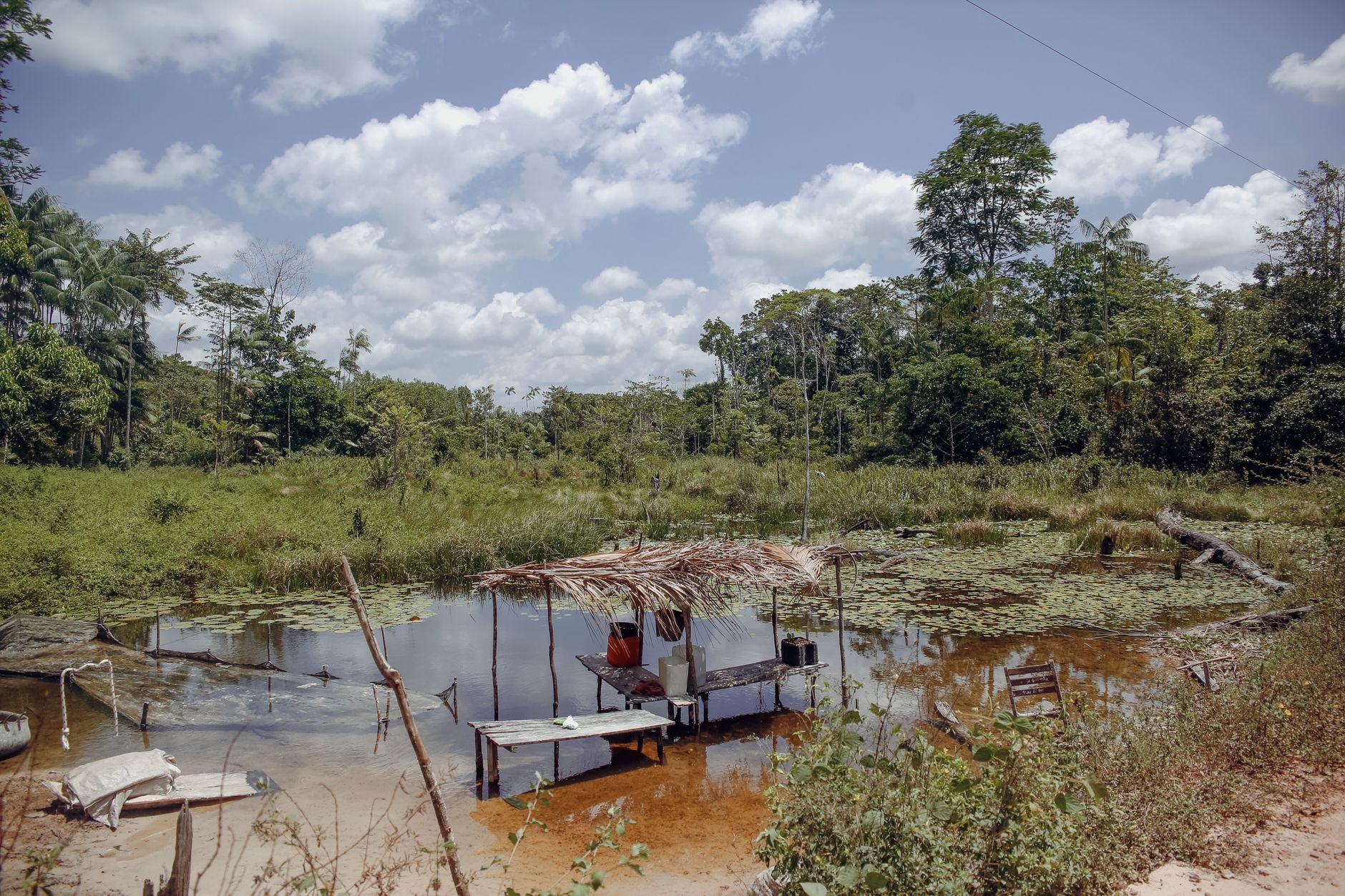 A Riverside Community and the Return to Manaus