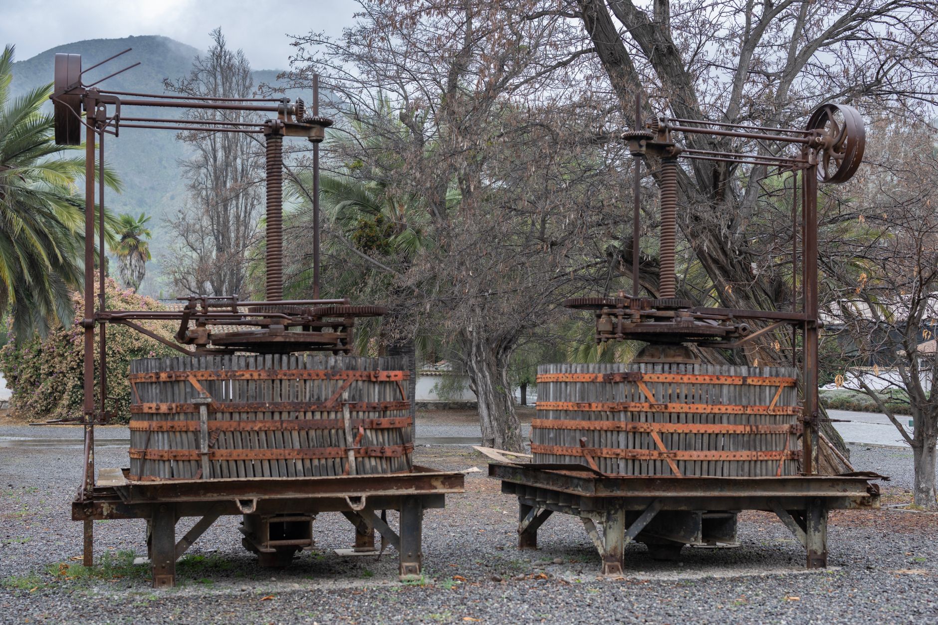 Rockford's stone barn cellar door, where the 1920s basket press is still used each vintage.