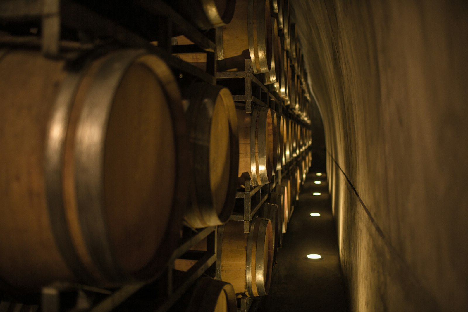 Salentein's Underground Cellar and the Drive Back to the Airport