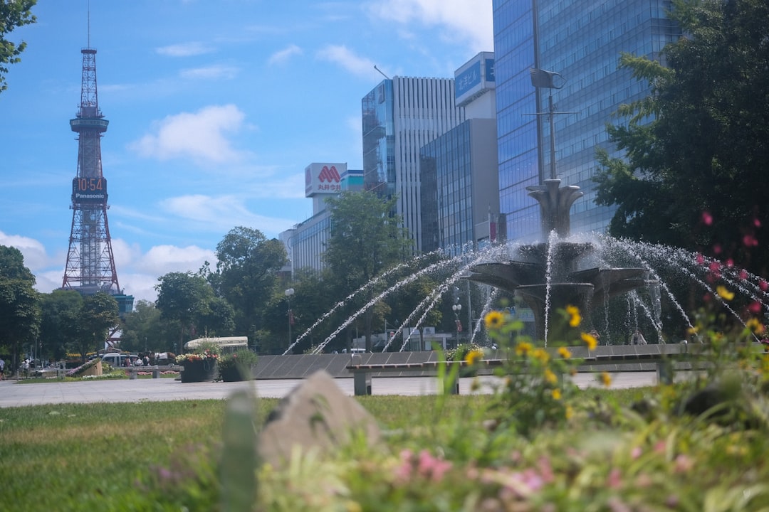 Sapporo, and the Cherry Blossoms Nobody Warns You About