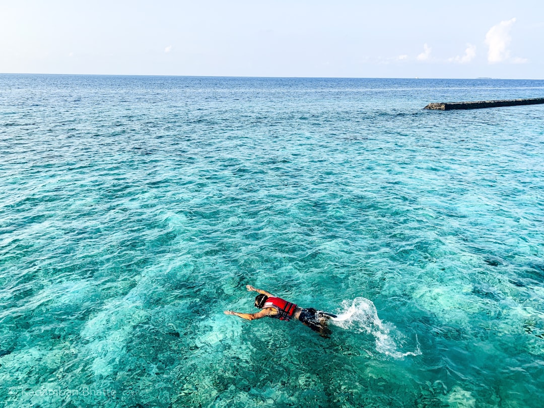 One Last Reef, Then the Long Way Home