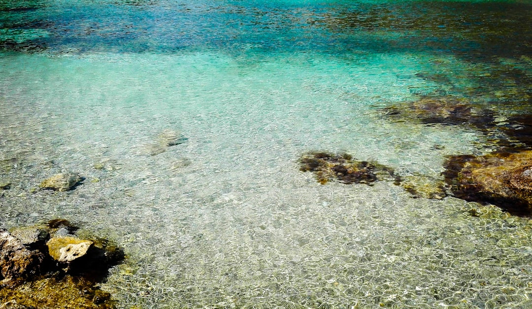 Shallow, turquoise water at coves like Ses Salines makes spring swimming comfortable for families and waders alike.