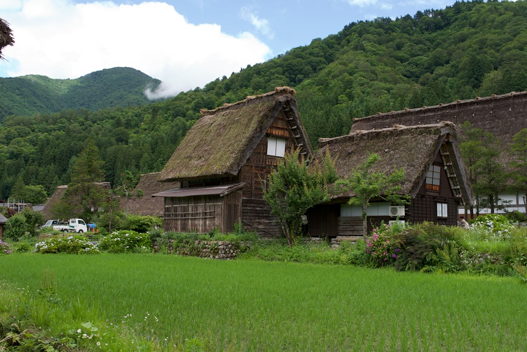 Takayama's Morning Market and the Thatched Roofs of Shirakawa-go