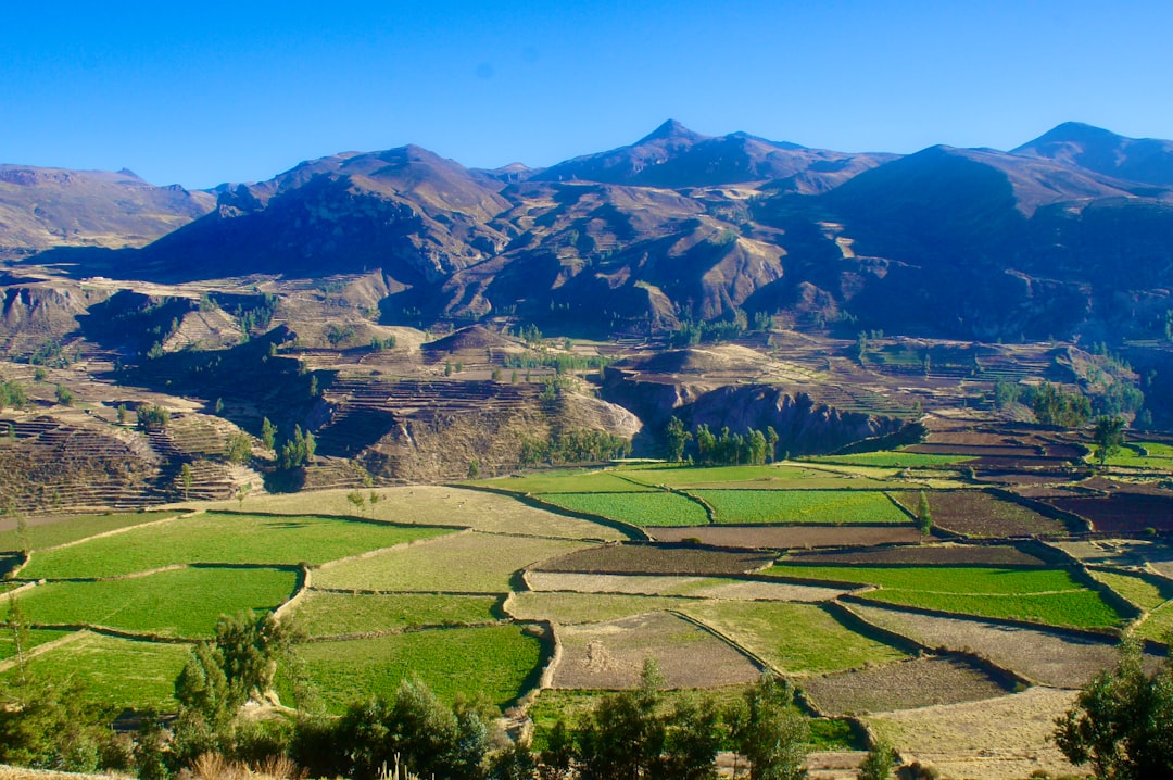 Snow lingers on the Andes above Gualtallary's high vineyards well into the spring tasting season.