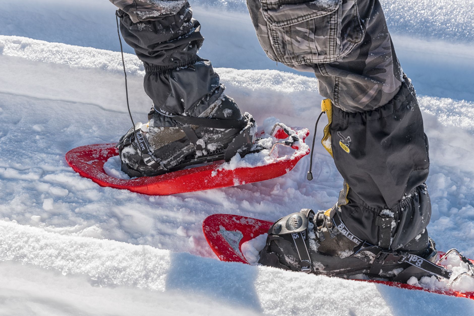 Snowshoeing Above Paradise Harbour