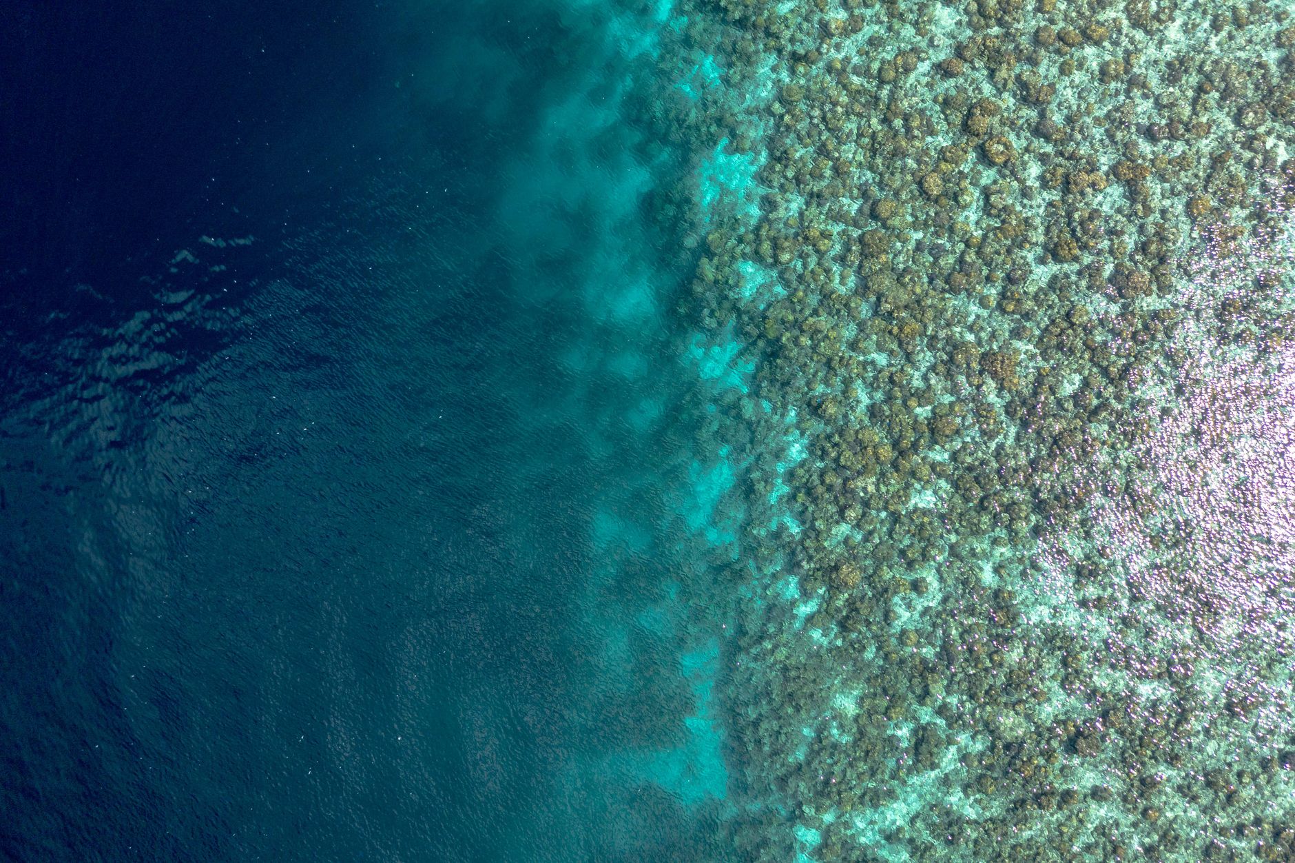 South Malé Atoll