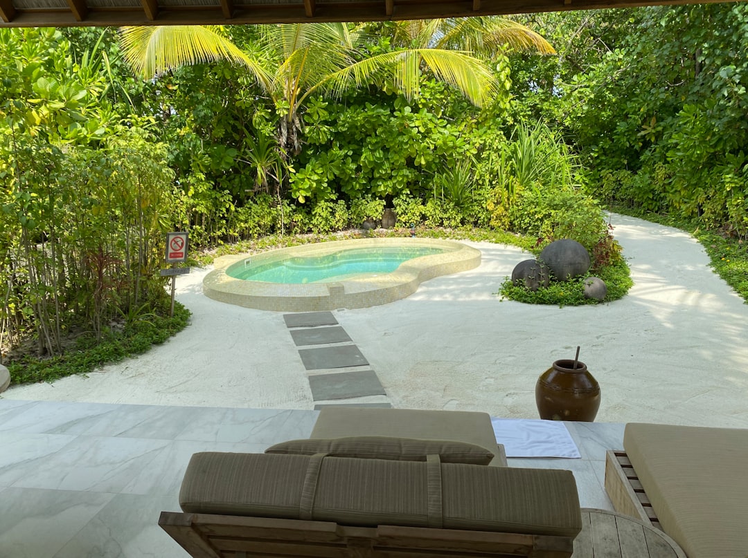 Spa services flourish at winter resorts, offering Ayurvedic traditions and wellness treatments suited to the relaxation-focused season.