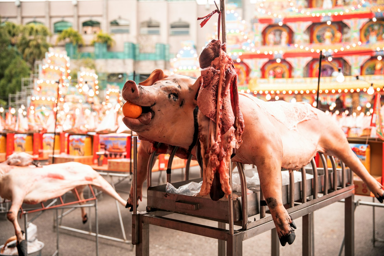 Spit-roasted pork turns slowly over coals outside nearly every kafana during festival week.