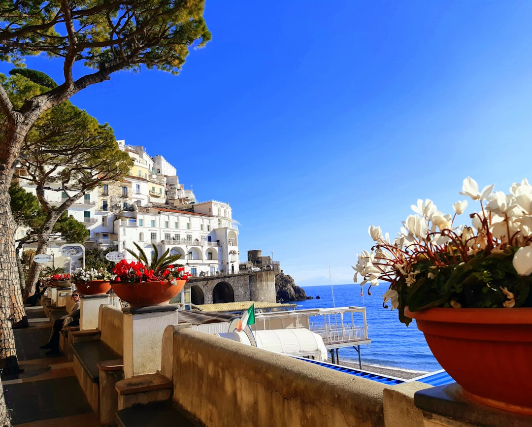 Spring landscape of the Amalfi Coast with flowering lemon trees and Mediterranean Sea