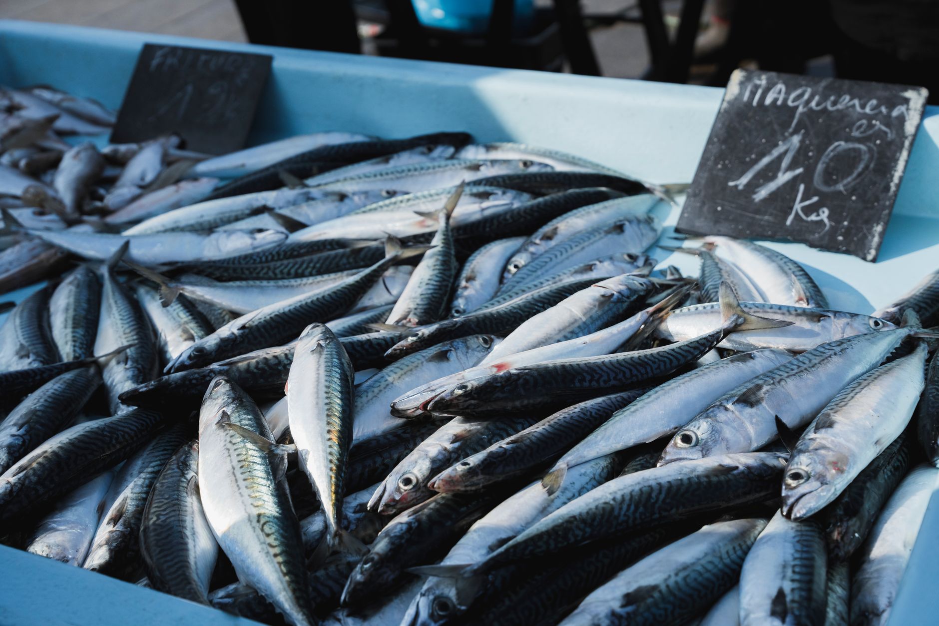 Stalls at Fisketorget sell fresh and smoked seafood alongside prepared dishes for lunch on the harbor.