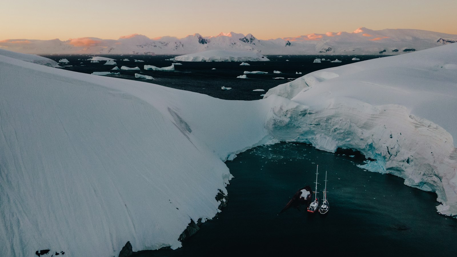 Stand-Up Paddleboarding Off Cuverville Island