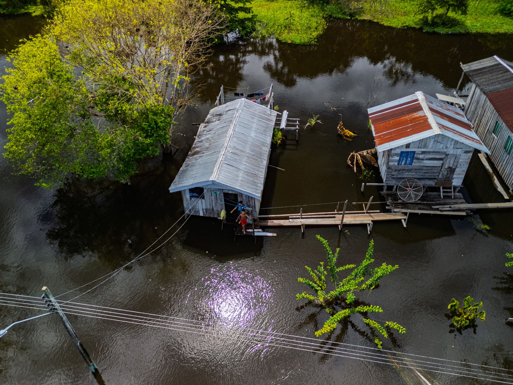 Stilt-house communities along the Rio Negro rise and fall with the seasonal flood.