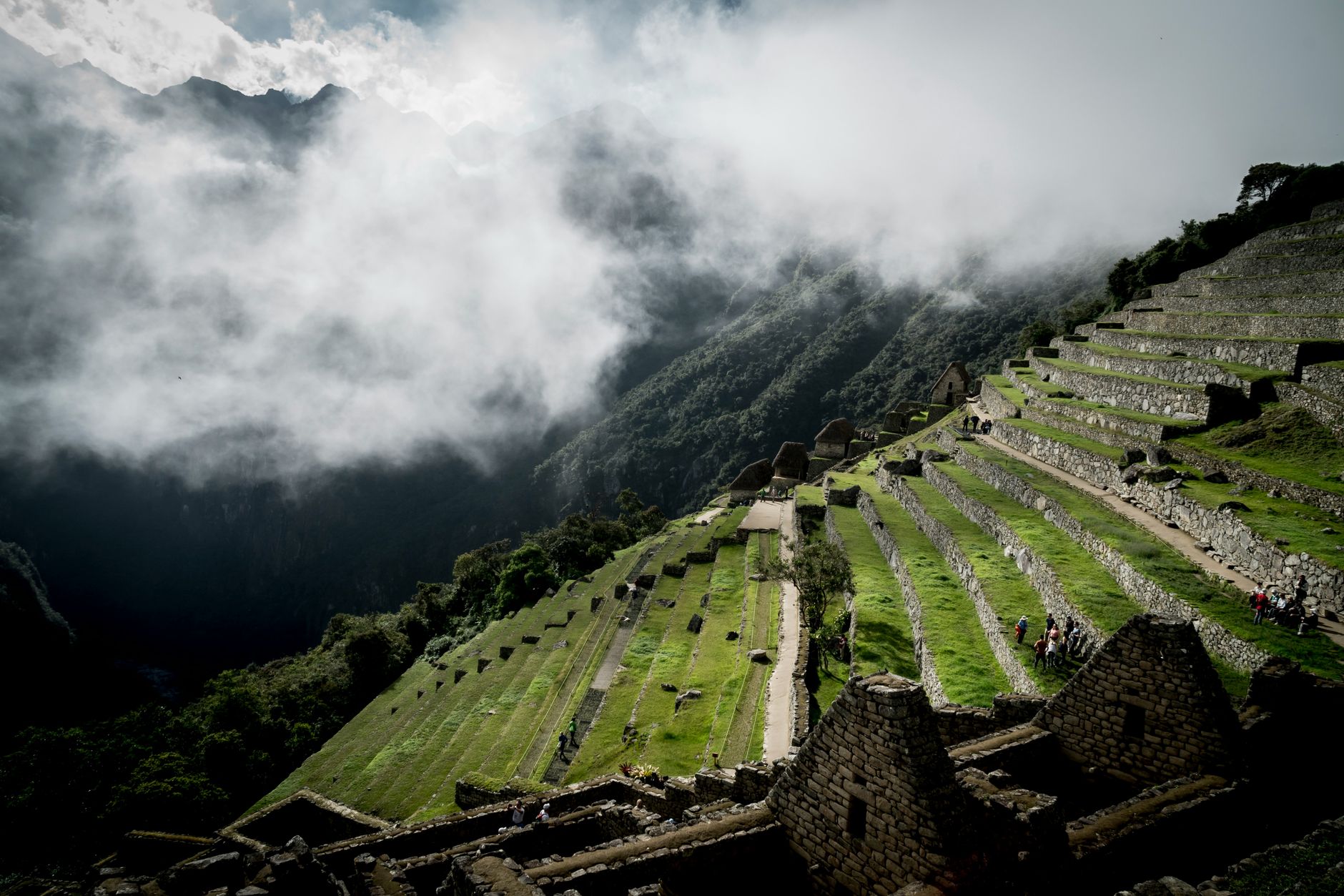 Stone agricultural terraces with white llama mosaics at the Choquequirao archaeological site in Peru