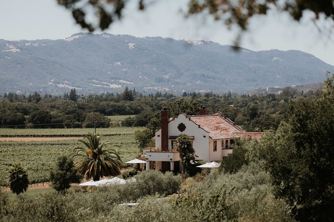 Stone winery buildings dating to the 1880s still house working cellars and private tasting rooms across the St. Helena benchlands.