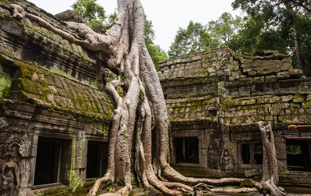 Arrival in Siem Reap and Sunrise at Angkor Wat