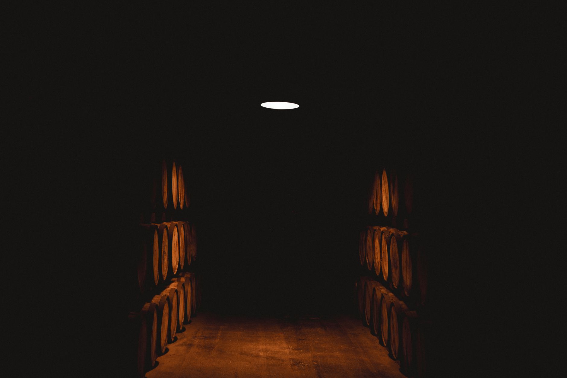 The cross-shaped underground cellar at Bodega Salentein, kept near total silence for the barrels resting below.
