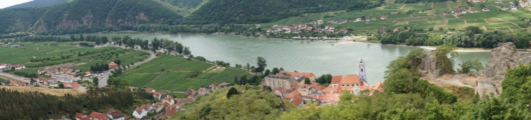 The Danube cycle path threads past apricot orchards in bloom each spring.