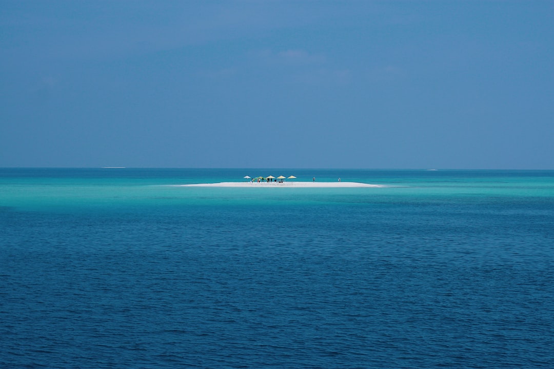The dhoni that ferried us to the sandbank picnic, engine cut, grill smoke drifting sideways in the wind.