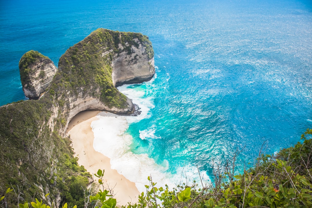 The dramatic T-Rex-shaped cliff at Kelingking Beach, Nusa Penida.