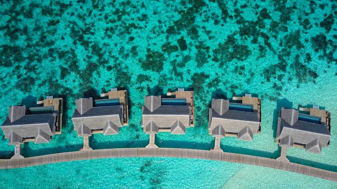 The glass floor panel in the Ari Atoll villa, looking straight down into the lagoon below.