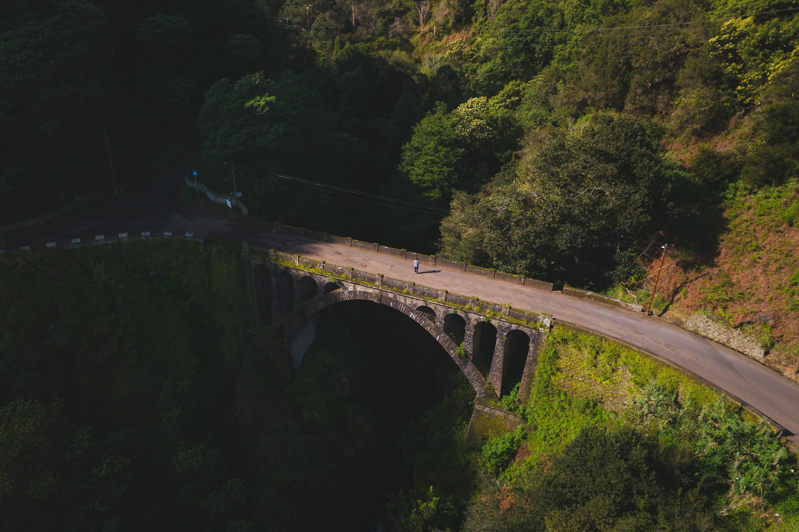 The Linn Cove Viaduct wraps around Grandfather Mountain's slope at mile 304.4 without a single support pier on the ridge above.