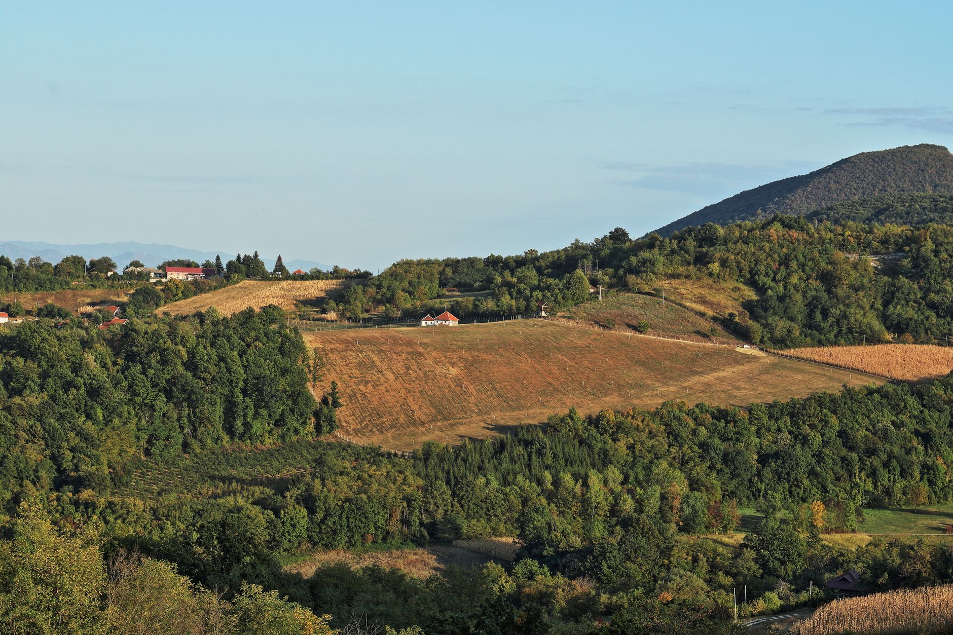 The rolling Dragačevo countryside surrounding Guča, mostly orchards and small family farms.
