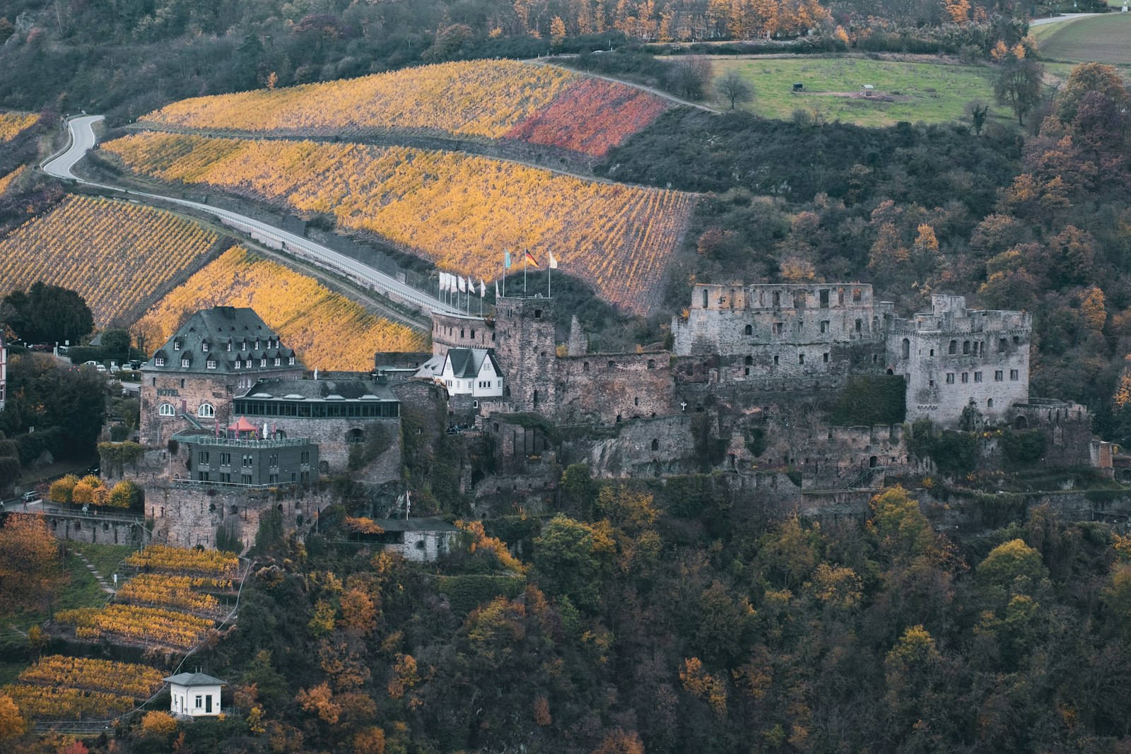 The sprawling ruins of Rheinfels Castle above St. Goar, the gorge's largest fortress.