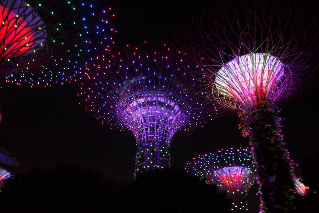 The Supertree Grove light show runs in short sets after dusk, free with entry to the gardens.