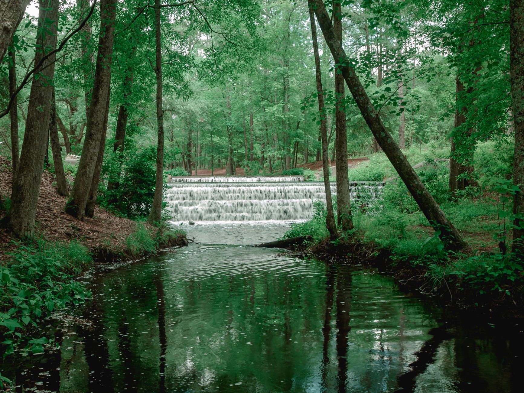 The terraced gardens and butterfly lakes at Middleton Place, laid out along the Ashley River in the 18th century.