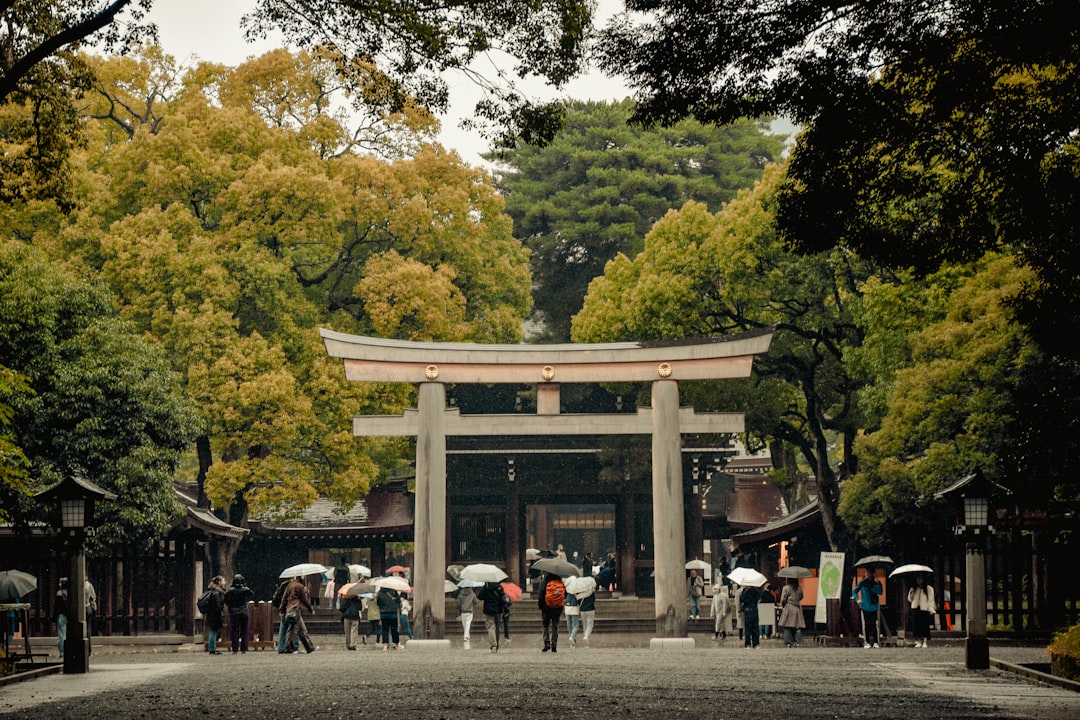 The tree-lined approach to Meiji Jingu, a five-minute walk from Harajuku Station.