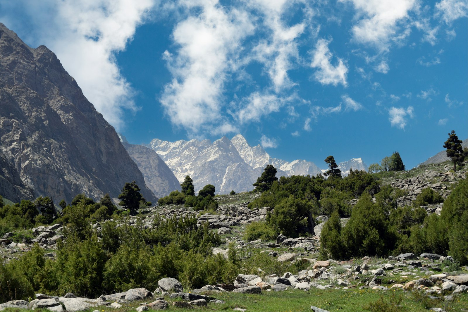 The treeless valley above Yak Kharka, where the air thins fast.