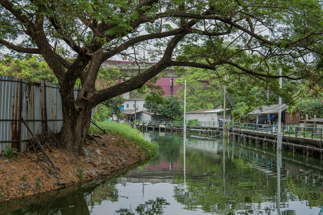 Thonburi's Riverside Canals
