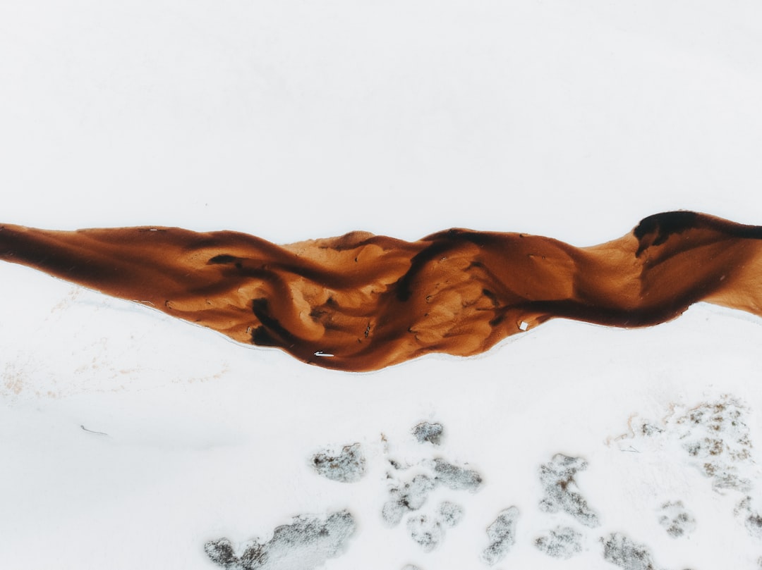 Tire d'érable, maple taffy rolled onto snow, at a Côte-de-Beaupré sugar shack.